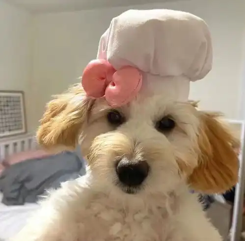 萌系头像