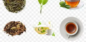 茶叶绿茶背景图片茶道铁观音茶园茶具免抠图素材模板下载81.00mb食物饮品大全生活工作
