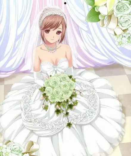 动漫图婚纱礼服