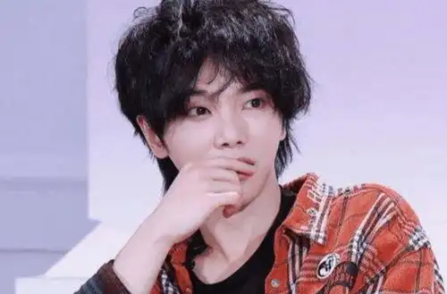 华晨宇媚粉的料赵丽颖炒作刘诗诗糊了宋智雅翻车后续龚俊取代李现