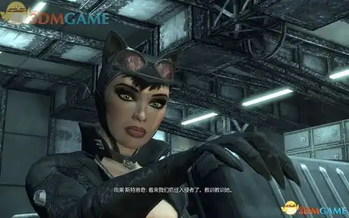 主线猫女任务3蝙蝠侠阿卡姆之城图文全攻略全任务全收集全剧情3dm单机