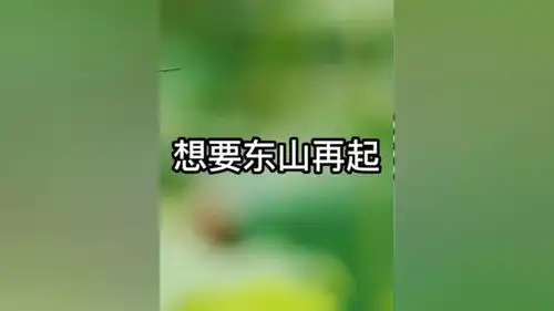 文案励志语录总有一句话戳心原创文案馆