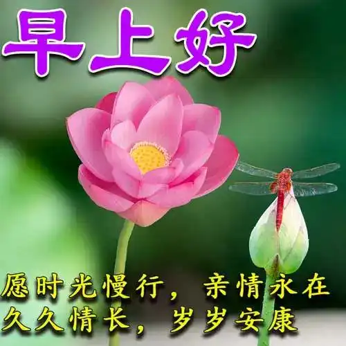 2024年4月25日周四早安图片大全,最美漂亮早安祝福语图片