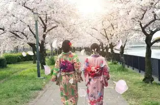 日本樱花季最强攻略,7个最佳观赏地以及樱花限定美食一网打尽