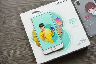 oppor9tfboys定制版图赏卡通专属手机壳
