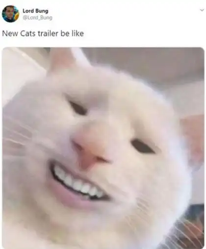 如何评价音乐剧电影猫cats