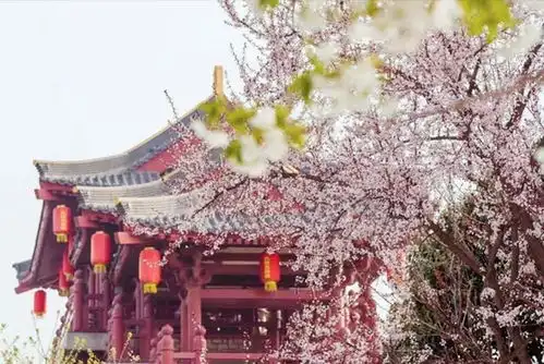 世界各国对性工作是否合法的五花八门界定