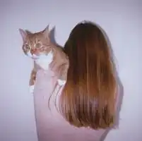 求抱着狗或猫或兔或娃娃的女生头像有多少发多少啊