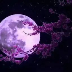 中秋诗词120首,一轮明月好还乡