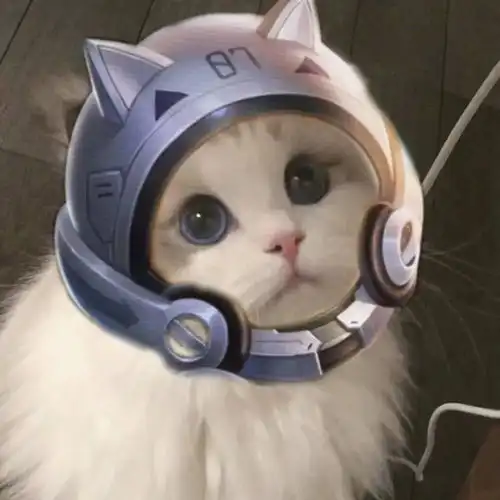王者荣耀猫头第39期瑶辅助猫咪头像,辅助大件不是更好吗