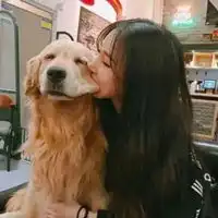 和狗狗一起的女生头像