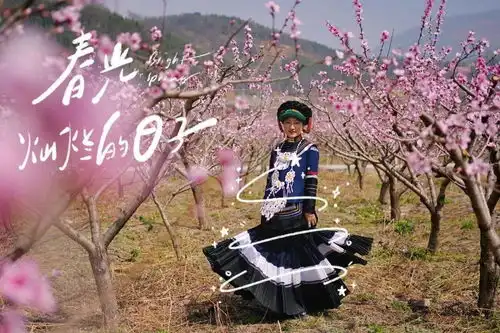 春风桃李花开日,我在越西等你