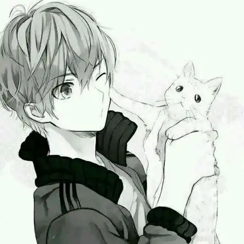 求黑白的动漫头像男生的带猫的高悬赏有我满意的就采纳