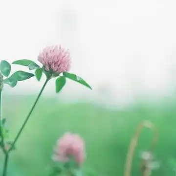 新世界