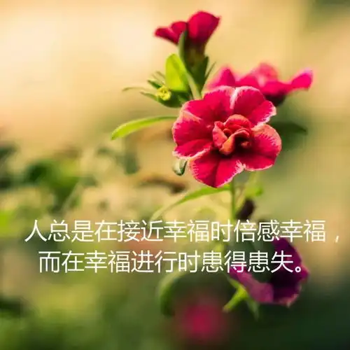 朋友圈人生哲理精辟语句,励志经典说说暖心文案