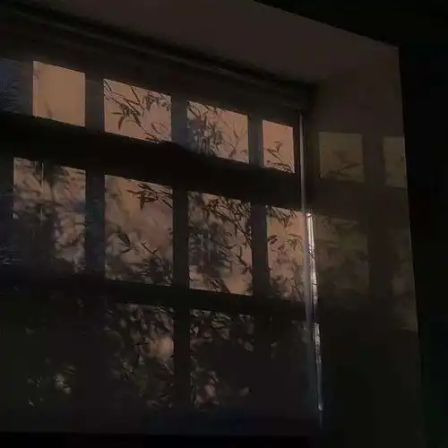 温暖治愈系图片