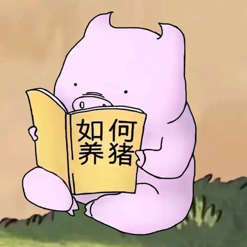 今日封面人间无趣但却有你