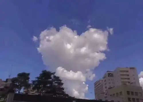 投稿向阳而生