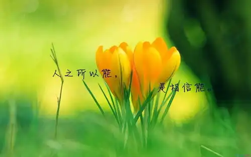 致即将毕业的你我