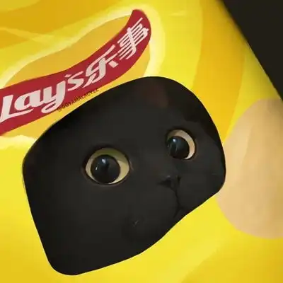 2023最新超萌猫咪动漫情侣头像