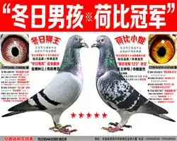 公主号麦克斯之漂亮浅斑