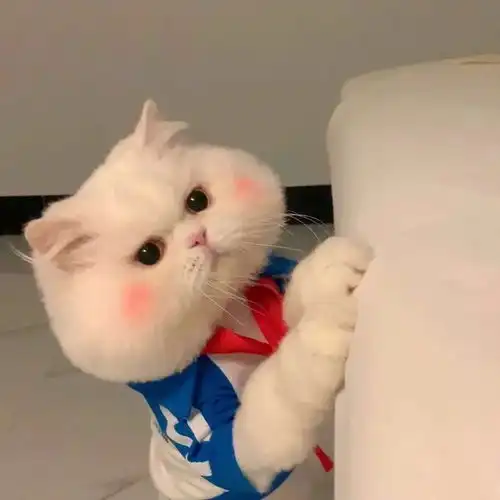 优质动漫情头很特别的浪漫情头