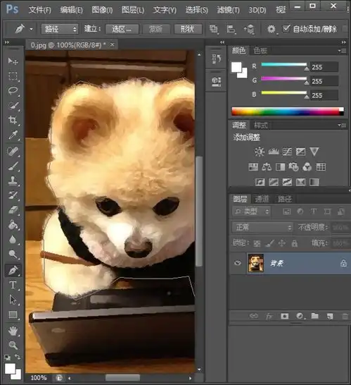 ps漫画头像教程过程
