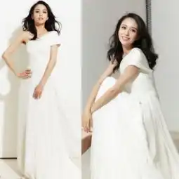 范冰冰赵薇汤唯刘诗诗娱圈正宗白富美排行榜14