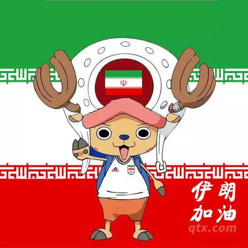 值得拥有,乔巴世界杯32强头像四
