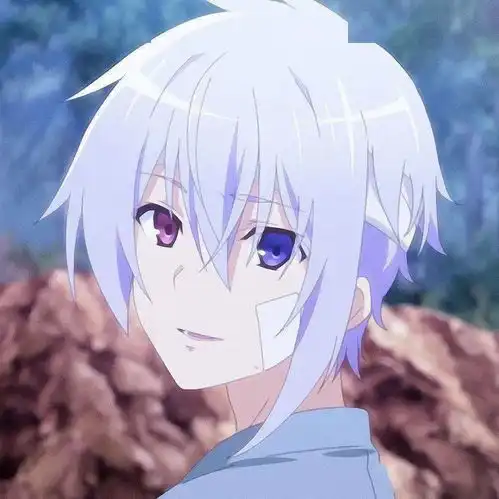 100张二次元动漫男女生头像任你选