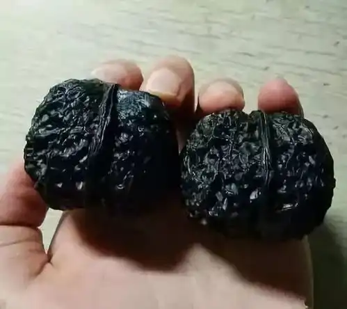这对极品黑煤球核桃,是不是火大给炸糊了