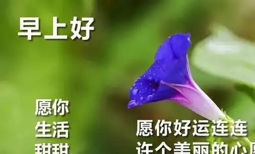 12月4日清晨早上好动态表情图片大全新版微信早上好表情动态图片