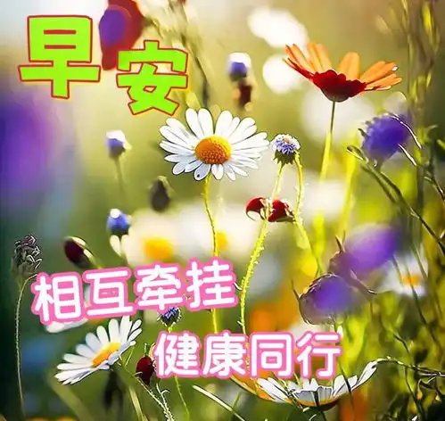 早安图片,早安问候,因有惦念愿我们健康无恙岁岁平安快乐清晨幸福早上好网易订阅