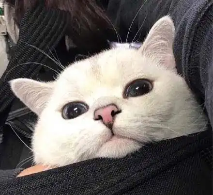 她只是陪你几年,你却是她的一辈子