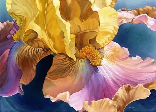 有没有那种色彩鲜艳图片