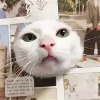 可爱沙雕情侣头像一对微信头像图片大全