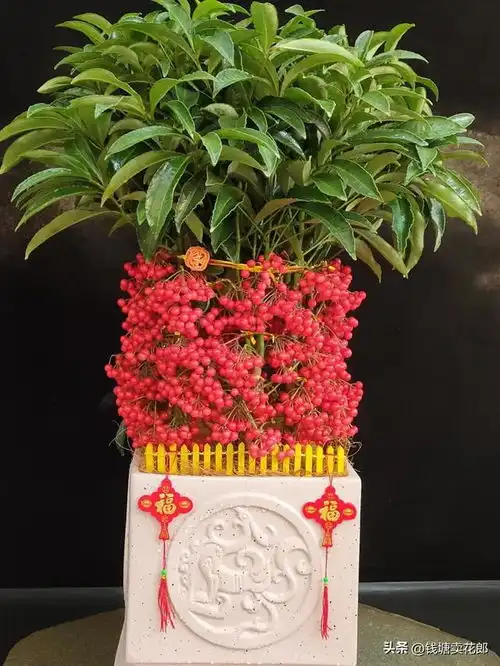 房子再小,这6种花,过年都要养1盆,寓意财运亨通,幸福安康