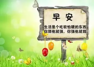 早上发朋友圈的励志语录正能量短句