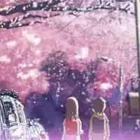 微信头像樱花美女头像微信头像图片大全