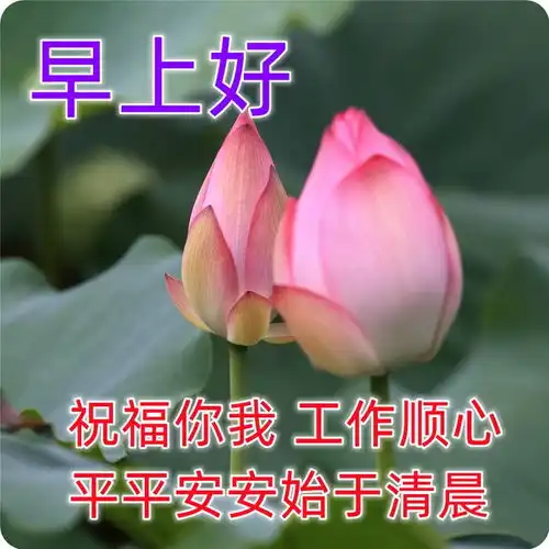早上好新版很漂亮的祝福图片最新版早上好短信问候祝福语大全