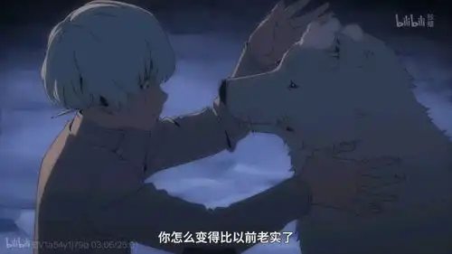 哔哩哔哩专栏