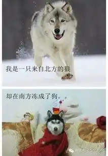 康桥丰田