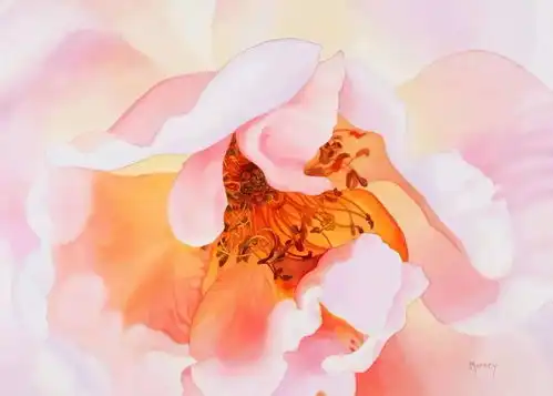 花与光的碰撞,她画的超写实水彩花卉,美到窒息