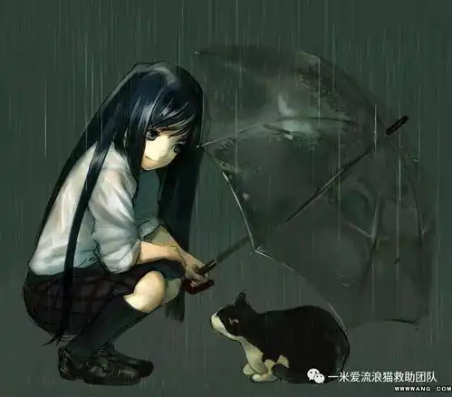 一只流浪猫的奢侈心愿泪奔