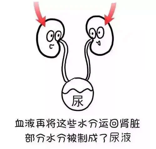 带你轻松了解湿气的前世今生