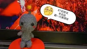 当华晨宇的面包被黑煤球et嘲笑后我跪下认错