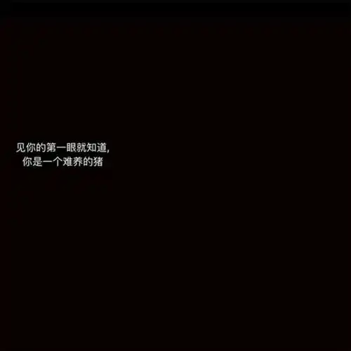 苏陌别追公交车,追我