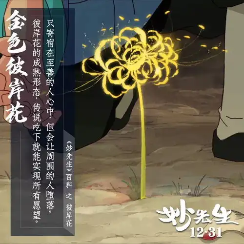 大护法姊妹篇,与哪吒同源出品,国产动画又要吵翻天