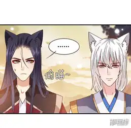 兽宠女皇漫画第44话小狼狼和猫骑士之间的火药味漫客栈