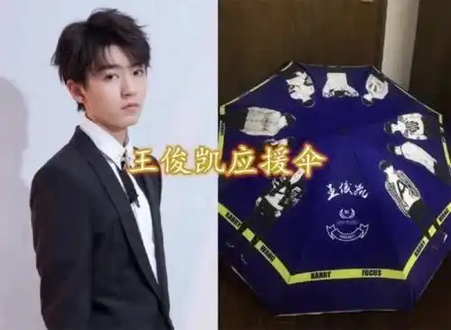 周震南应援伞,鹿晗应援伞,王俊凯应援伞,看到千玺应援伞舍得合起来吗